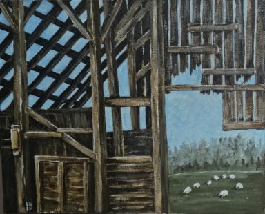 Old Timbers Remember Old Barns, Rural, sheep, farm, farm life, livestock